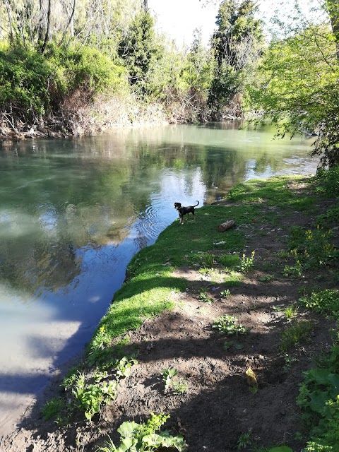 Réserve naturelle de la vallée de l'Aniene